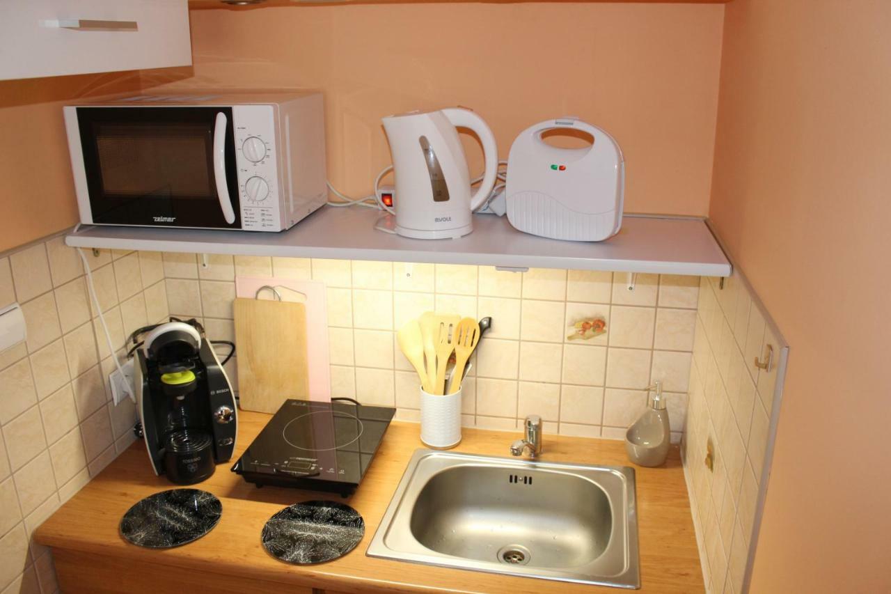 Pokoj Kameralny- De Luxe Z Oddzielnym Wejsciem Karpacz Exterior photo