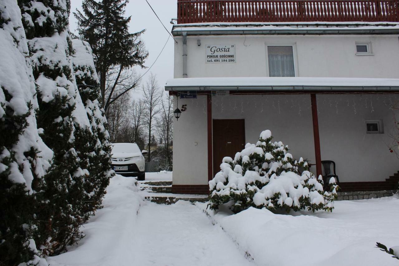 Pokoj Kameralny- De Luxe Z Oddzielnym Wejsciem Karpacz Exterior photo